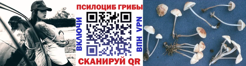 купить   Питкяранта  Псилоцибиновые грибы Magic Shrooms 